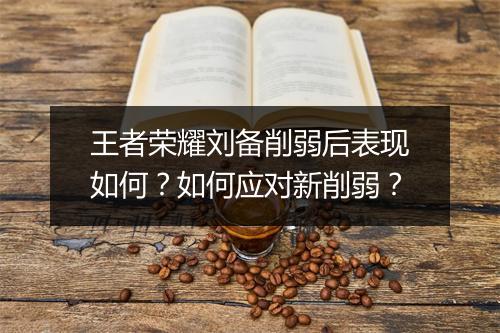 王者荣耀刘备削弱后表现如何？如何应对新削弱？