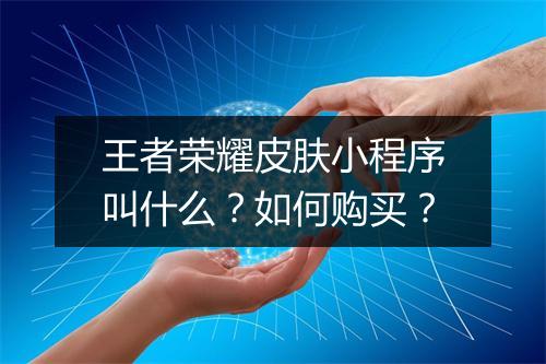 王者荣耀皮肤小程序叫什么？如何购买？