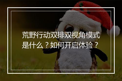 荒野行动双排双视角模式是什么?如何开启体验?