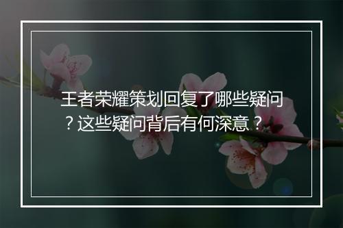王者荣耀策划回复了哪些疑问？这些疑问背后有何深意？