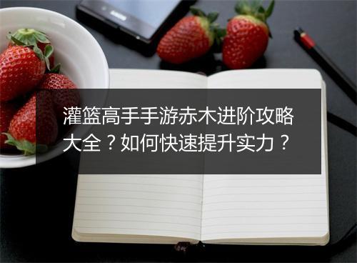 灌篮高手手游赤木进阶攻略大全?如何快速提升实力?