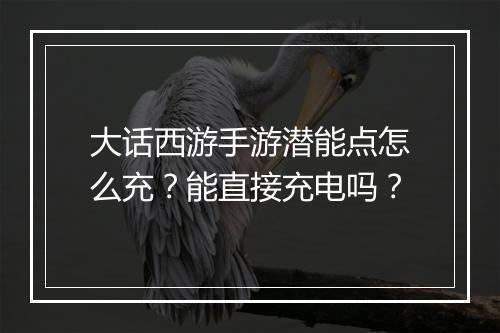 大话西游手游潜能点怎么充？能直接充电吗？