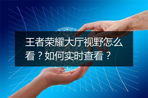 王者荣耀大厅视野怎么看？如何实时查看？
