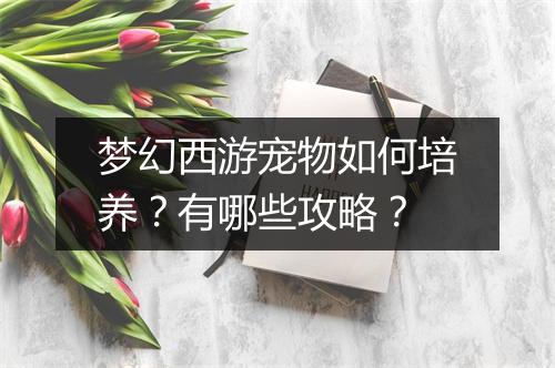 梦幻西游宠物如何培养？有哪些攻略？