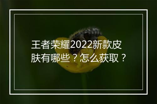 王者荣耀2022新款皮肤有哪些？怎么获取？