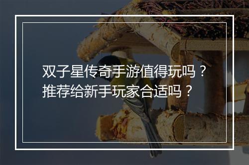 双子星传奇手游值得玩吗？推荐给新手玩家合适吗？
