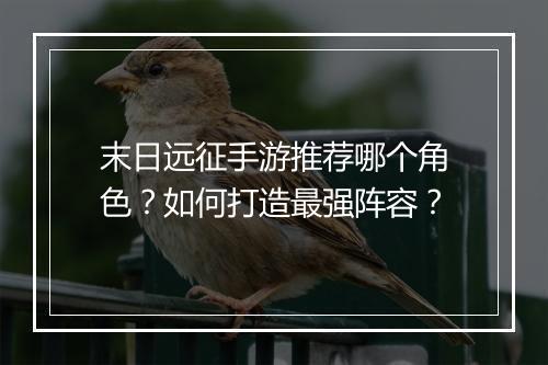 末日远征手游推荐哪个角色？如何打造最强阵容？