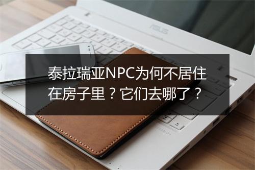 泰拉瑞亚NPC为何不居住在房子里？它们去哪了？