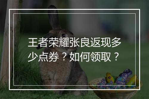 王者荣耀张良返现多少点券？如何领取？