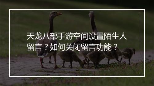 天龙八部手游空间设置陌生人留言?如何关闭留言功能?