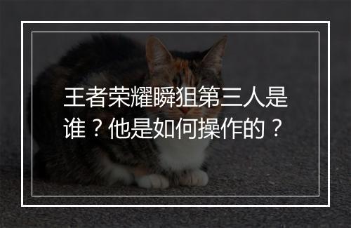 王者荣耀瞬狙第三人是谁？他是如何操作的？