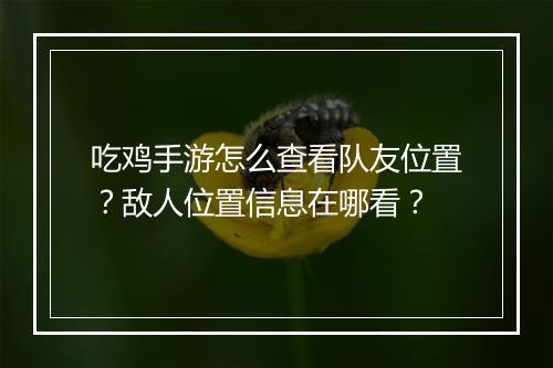 吃鸡手游怎么查看队友位置？敌人位置信息在哪看？