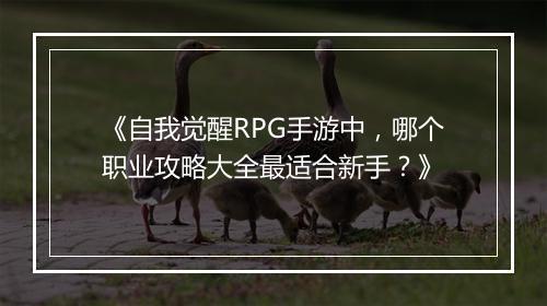 《自我觉醒RPG手游中，哪个职业攻略大全最适合新手？》