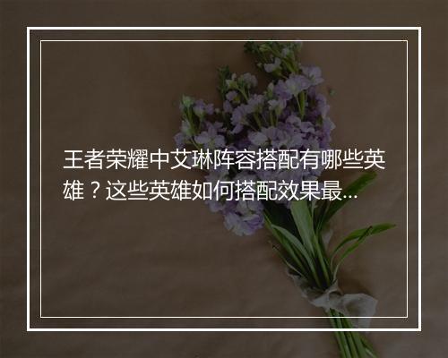 王者荣耀中艾琳阵容搭配有哪些英雄？这些英雄如何搭配效果最佳？