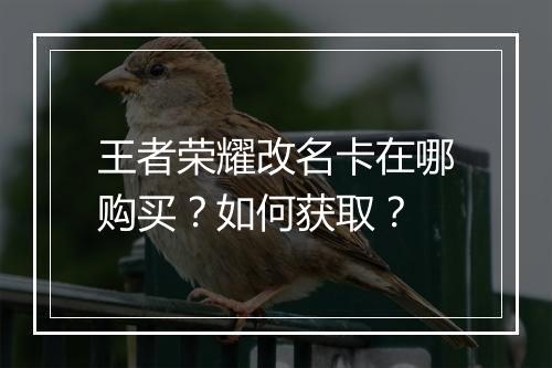 王者荣耀改名卡在哪购买?如何获取?