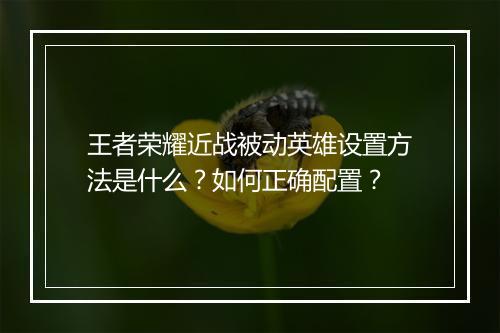 王者荣耀近战被动英雄设置方法是什么？如何正确配置？