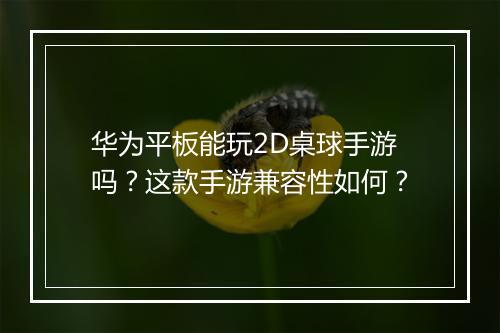 华为平板能玩2D桌球手游吗？这款手游兼容性如何？