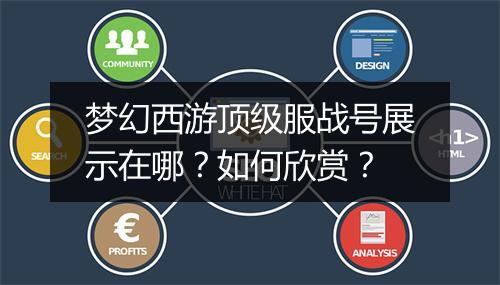 梦幻西游顶级服战号展示在哪？如何欣赏？
