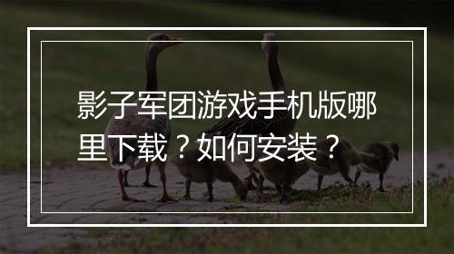 影子军团游戏手机版哪里下载?如何安装?