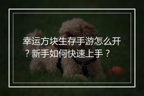 幸运方块生存手游怎么开？新手如何快速上手？