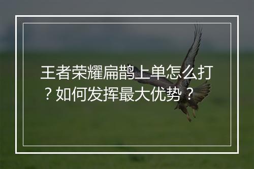 王者荣耀扁鹊上单怎么打？如何发挥最大优势？