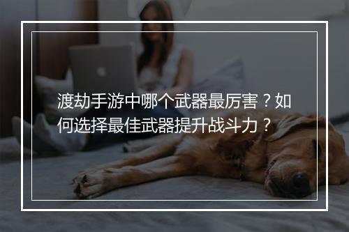渡劫手游中哪个武器最厉害？如何选择最佳武器提升战斗力？