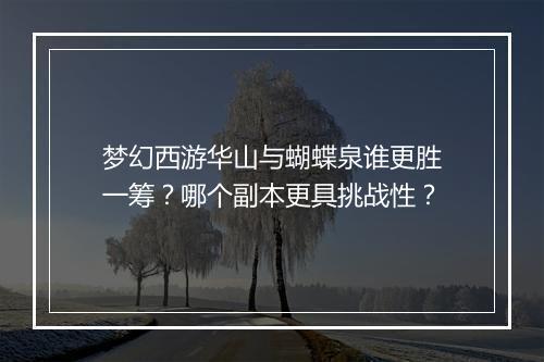 梦幻西游华山与蝴蝶泉谁更胜一筹?哪个副本更具挑战性?