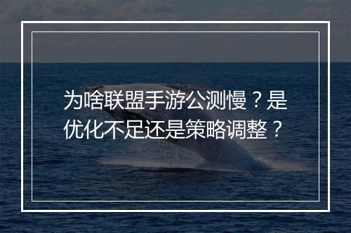 为啥联盟手游公测慢？是优化不足还是策略调整？