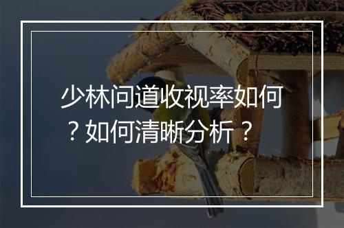 少林问道收视率如何？如何清晰分析？