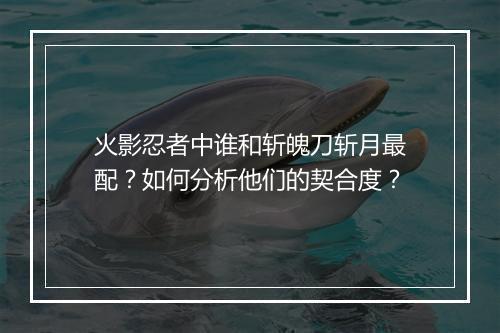火影忍者中谁和斩魄刀斩月最配？如何分析他们的契合度？