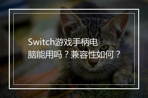 Switch游戏手柄电脑能用吗？兼容性如何？