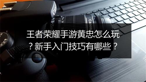 王者荣耀手游黄忠怎么玩？新手入门技巧有哪些？