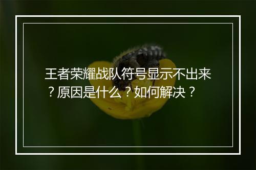 王者荣耀战队符号显示不出来？原因是什么？如何解决？