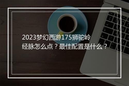 2023梦幻西游175狮驼岭经脉怎么点？最佳配置是什么？