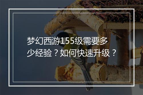 梦幻西游155级需要多少经验？如何快速升级？