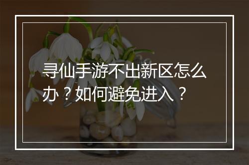 寻仙手游不出新区怎么办?如何避免进入?