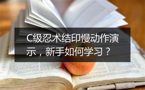 C级忍术结印慢动作演示，新手如何学习？