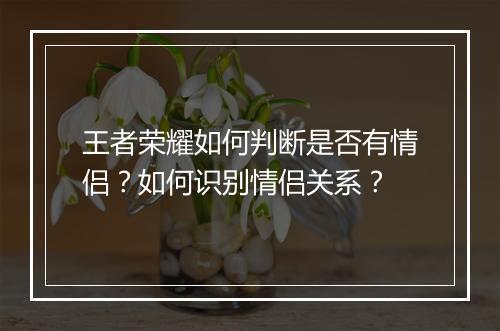 王者荣耀如何判断是否有情侣?如何识别情侣关系?