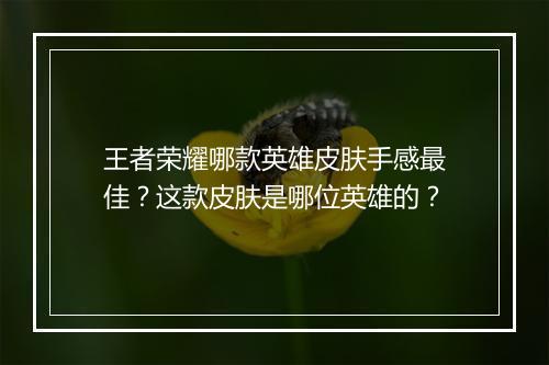 王者荣耀哪款英雄皮肤手感最佳？这款皮肤是哪位英雄的？
