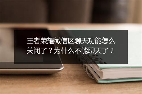 王者荣耀微信区聊天功能怎么关闭了？为什么不能聊天了？