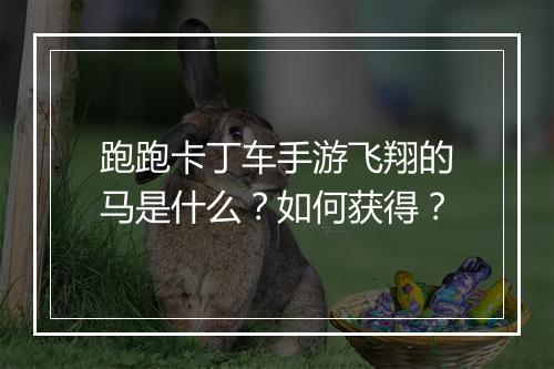 跑跑卡丁车手游飞翔的马是什么？如何获得？