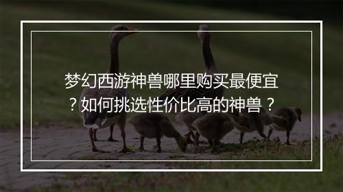 梦幻西游神兽哪里购买最便宜？如何挑选性价比高的神兽？