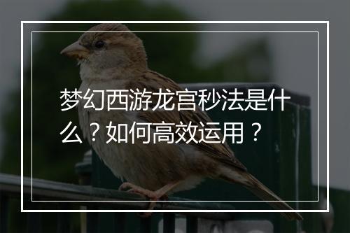 梦幻西游龙宫秒法是什么？如何高效运用？
