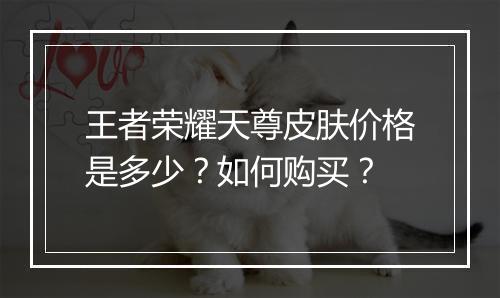 王者荣耀天尊皮肤价格是多少？如何购买？