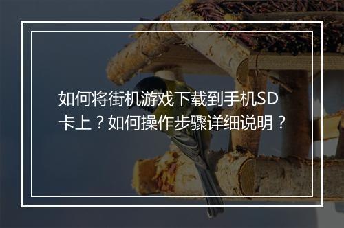 如何将街机游戏下载到手机SD卡上？如何操作步骤详细说明？