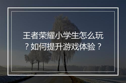 王者荣耀小学生怎么玩?如何提升游戏体验?