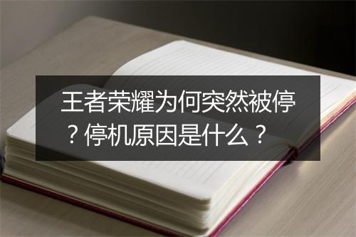 王者荣耀为何突然被停？停机原因是什么？