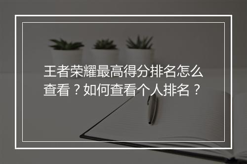 王者荣耀最高得分排名怎么查看？如何查看个人排名？