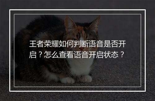 王者荣耀如何判断语音是否开启？怎么查看语音开启状态？