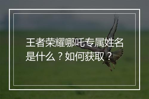 王者荣耀哪吒专属姓名是什么？如何获取？